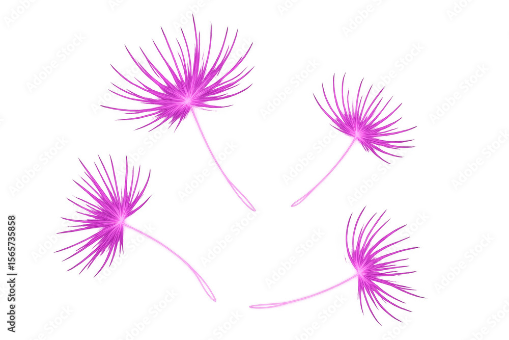 Obraz premium Pink tropical leaves falling diagonally, floating freely against transparent backdrop with soft botanical movement