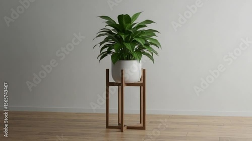 Plant Stand - Design Elevated