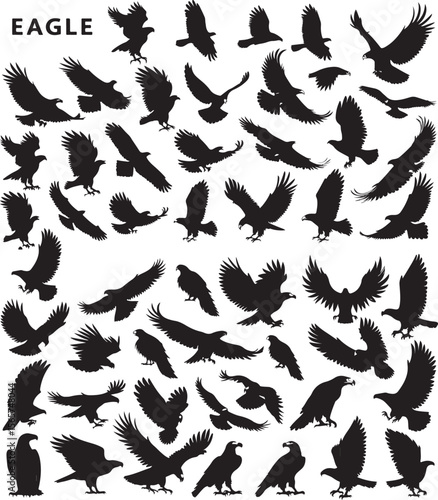 A completely black image with no discernible features or objects visible at all