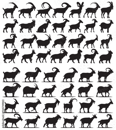 A completely black image showing nothing at all with no visible elements present