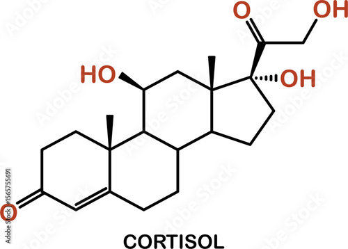 Chemical structure of cortisol hormone