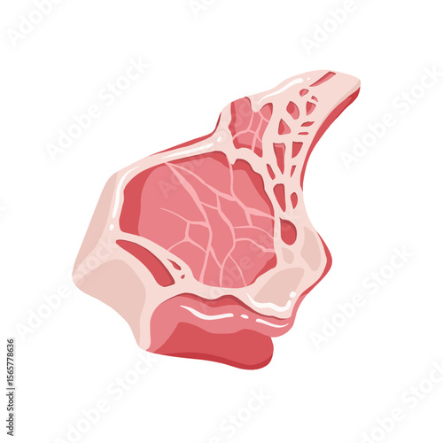 Illustration of a Raw Cut of Steak