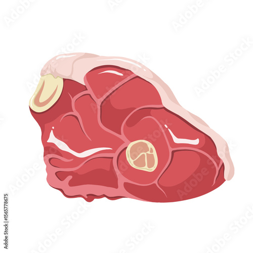Illustration of a Raw Piece of Meat