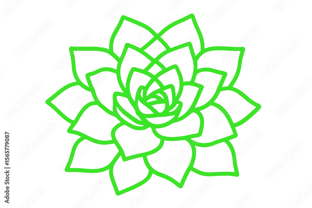 Minimalist green succulent plant drawing isolated on transparent background, ideal for nature-themed projects Minimalist green succulent plant drawing isolated on transparent background, ideal for nature-themed projects