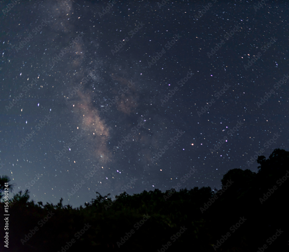 Naklejka premium starry night sky