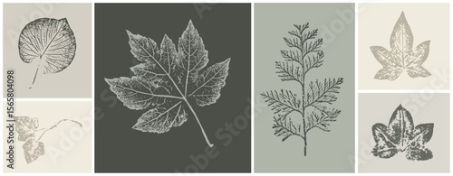 Botanical illustration sketch drawing on neutral brown and green for decorative print or natural background. Floral motif for card or invitation design.