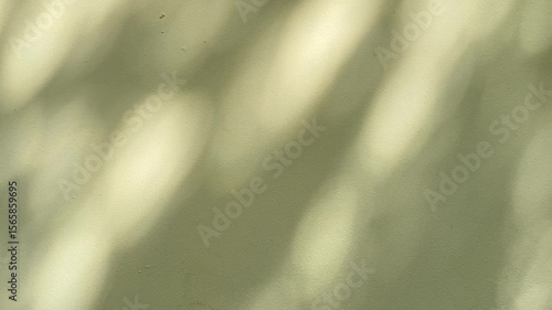 An abstract bokeh sunlight background