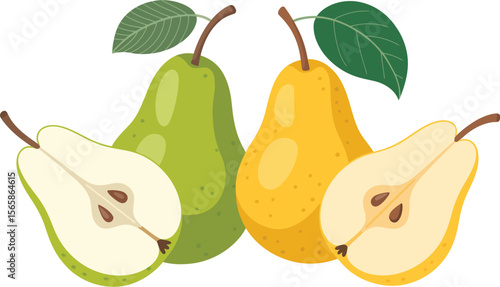 Illustration of two whole pears and two halved pears with leaves on a white background art image