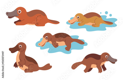 Cartoon Platypus Illustration Five Playful Platypuses in Various Poses, Including Swimming and Relaxing