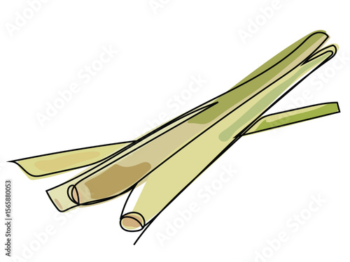 Lemongrass in continuous line drawing on a white background.