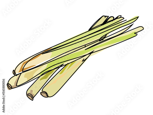 Lemongrass in continuous line drawing on a white background.