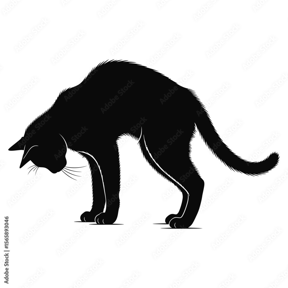 Obraz premium Different Cat Yoga Silhouette Pose t-shirt vector