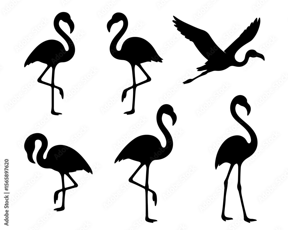 Obraz premium Set of Flamingo Silhouettes in Various Standing Poses Vector