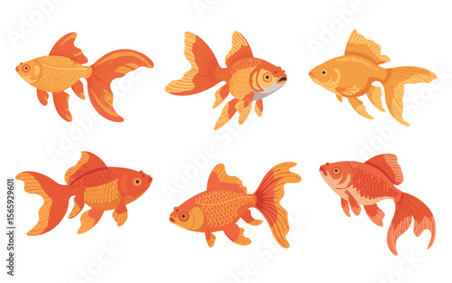 Six Orange Goldfish Illustrations with Different Fin Styles on a Clean White Background