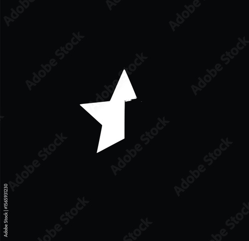 Abstract Vector Star:  Modern Minimalist Design Element