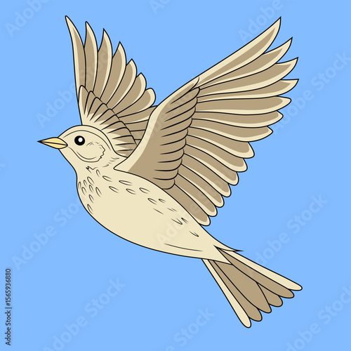 Isolated vector figure of a skylark flying in the sky