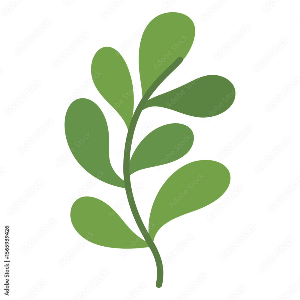 Obraz premium green leaf isolated on white background