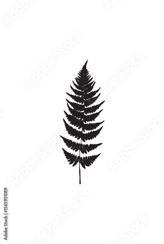 A stylized black silhouette of a fern frond, detailed and elegant.