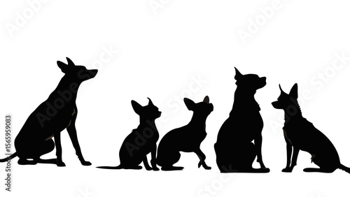 Calm Chihuahua Group Silhouettes 