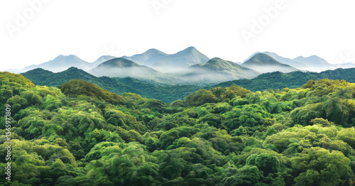 Layered mountain silhouettes with morning mist and rainforest isolated on transparent background