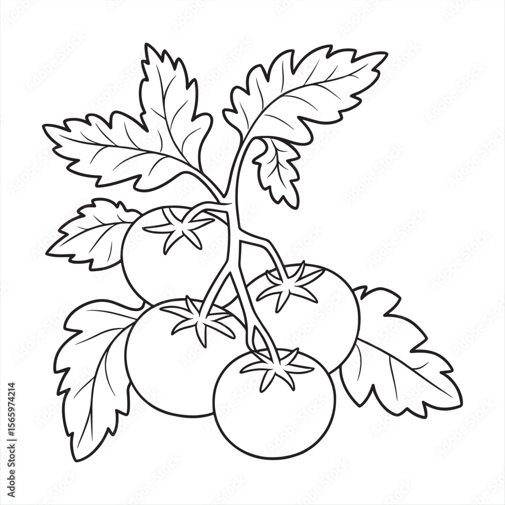 Fototapeta premium Spring Coloring Pages And Simple Springtime Fun