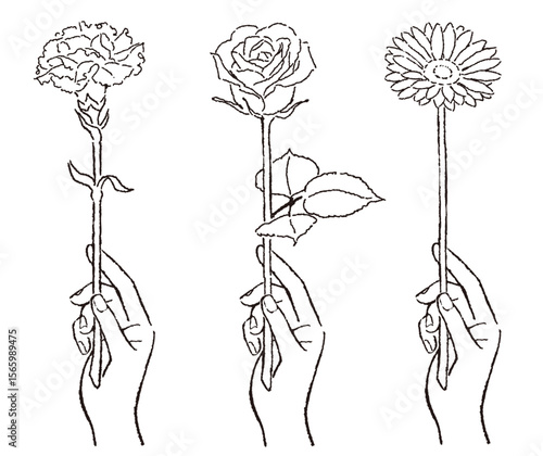 一輪の花を持つ手のイラスト