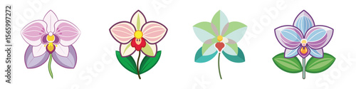 Orchid Flower Flat Illustration in Simple Minimalist Flat Style