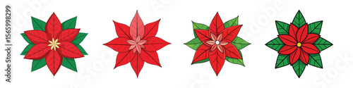 Poinsettia Flower Flat Style Botanical Vector Illustration