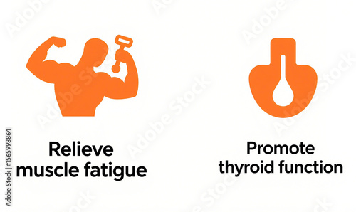 Muscle man and thyroid icon, representing the relief of muscle fatigue and promotion of thyroid function, used for post exercise relaxation and thyroid health maintenance scenarios.