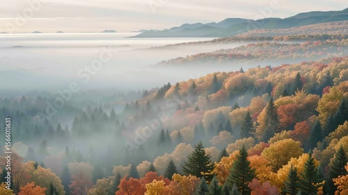breathtaking aerial drone view of a small cozy log cabin with thin chimney smoke rising, completely surrounded by multicolored forest in peak fall colors, morning mist hovering above tree-tops