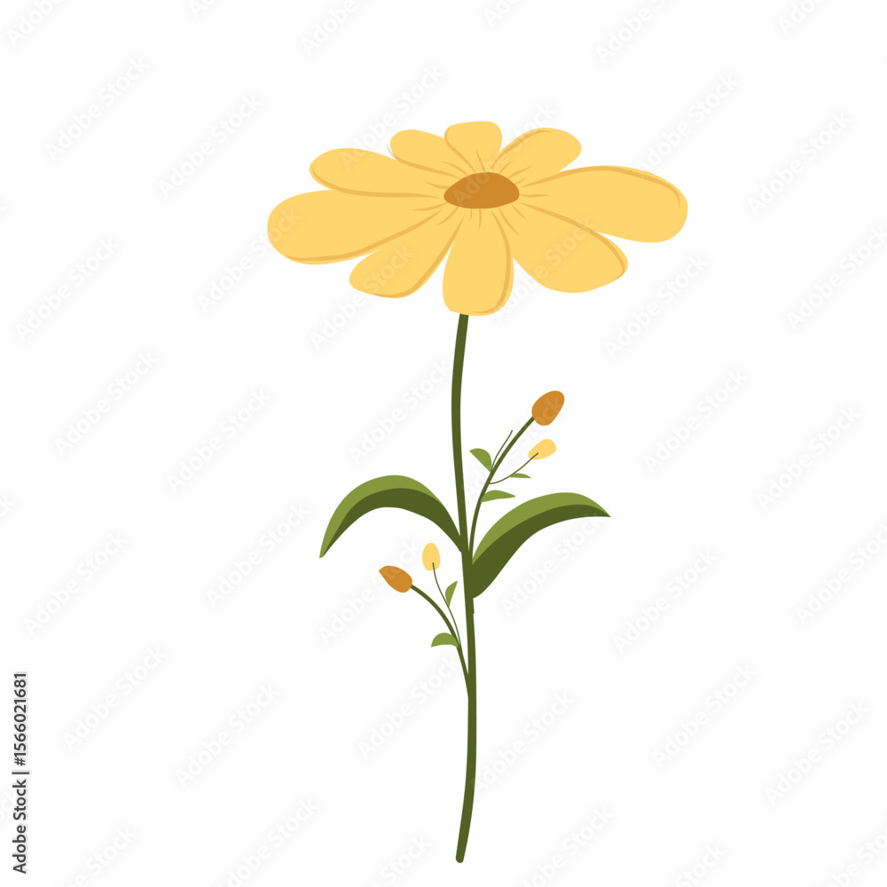 yellow daisy flower,yellow flower vector illustration,spring flowers yellow daisy flower,yellow flower vector illustration,spring flowers