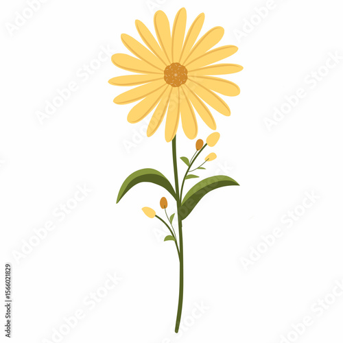 yellow daisy flower,yellow flower vector illustration,spring flowers