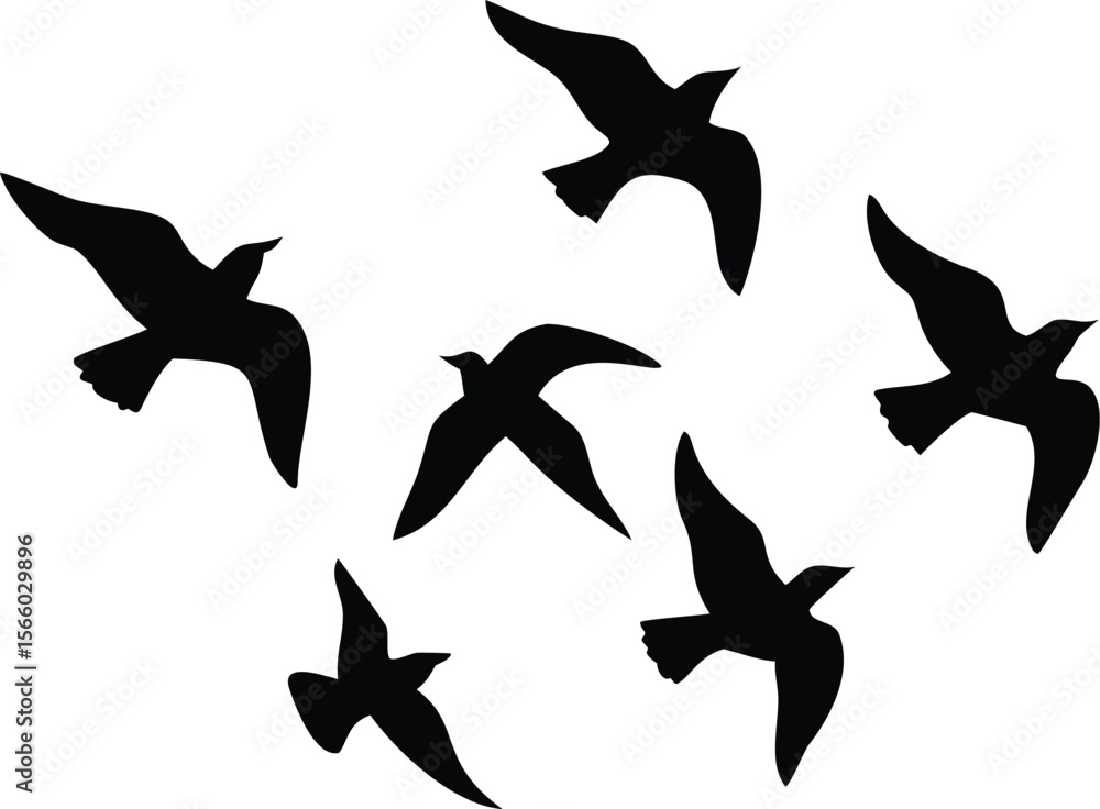 Fototapeta premium A collection of black vector bird silhouettes, flying and in motion, perfect for nature and wildlife designs