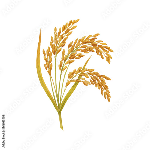 Vector watercolor illustration / 水彩テイストの稲