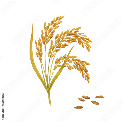 Vector watercolor illustration / 水彩テイストの稲