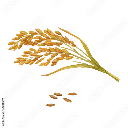 Vector watercolor illustration / 水彩テイストの稲