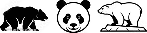 Bear species illustration featuring grizzly panda and polar bear graphic design for animal lovers editable vector