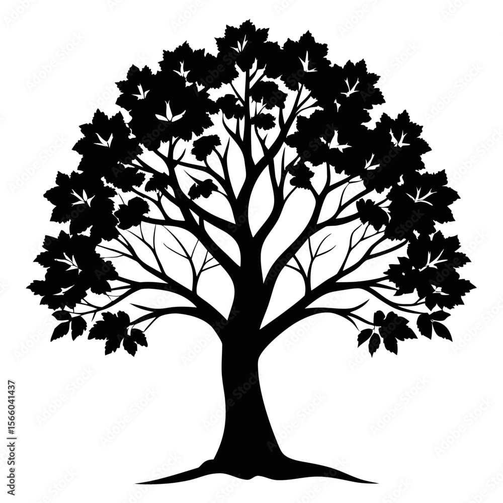 Obraz premium Sycamore vector tree silhouette