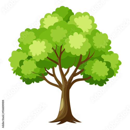 Poplar tree with green leaves
