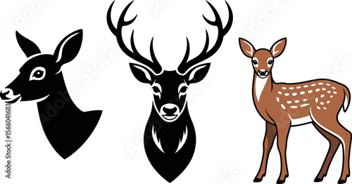 Deer vector graphic set with stag buck and fawn for logo design or wildlife illustration projects editable vector