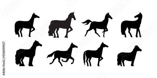 Collection of different horse breed silhouettes in vector format. Suitable for equestrian themes, animal icons, farm illustrations and Western-style designs