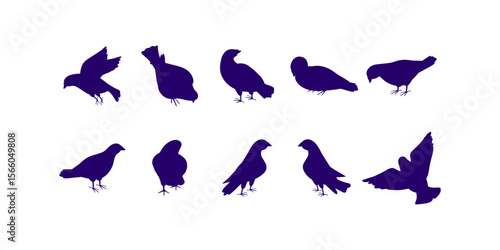 Silhouette vector illustration of pigeons representing peace, freedom, and hope. Ideal for logo, tattoo, wildlife, nature, and bird design related themes
