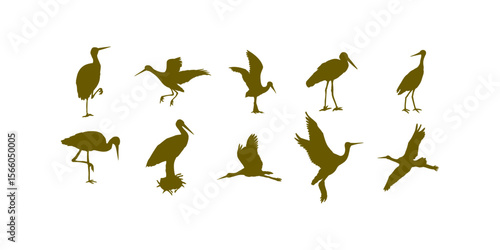 Collection of flying crane bird silhouettes in various flight poses, isolated vector wildlife illustrations with elegant crane wings spread and migration concept