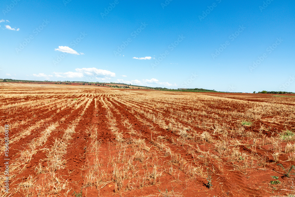 Fototapeta premium red soil farm in Australia