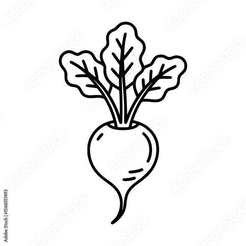 Simple black line art illustration of a beetroot