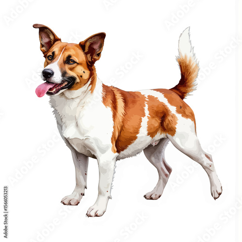 Happy dog standing with tongue out and wagging tail on white background  