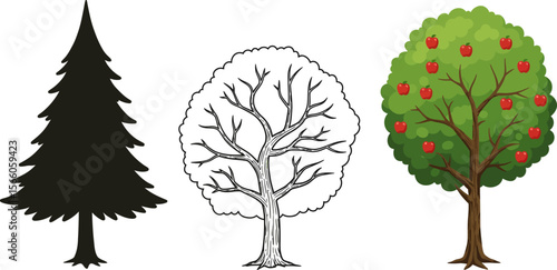Tree types illustration vector design fir tree apple tree drawing tree silhouette tree outline tree image