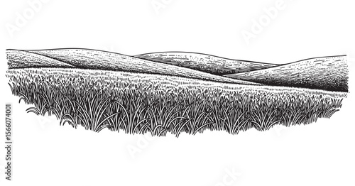 Rolling Grassy Hills Landscape Vector Engraving Illustration

