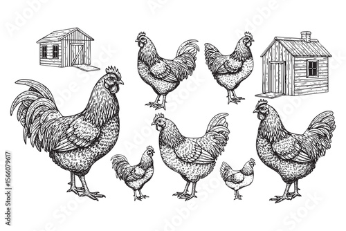Farm Elements with Chickens and Coops Vector Engraving Set

