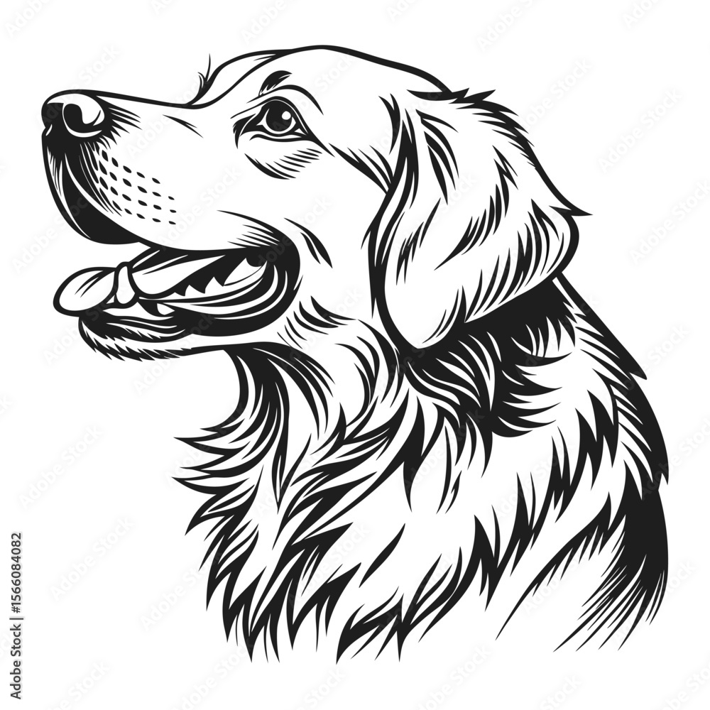 Fototapeta premium Silhouette of an adorable purebred black and white dog 